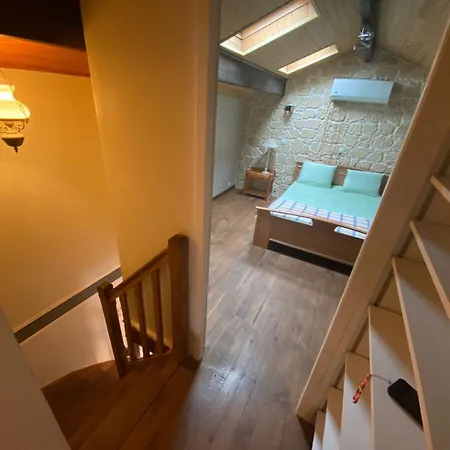 Le Du Temps Plie Mauleon