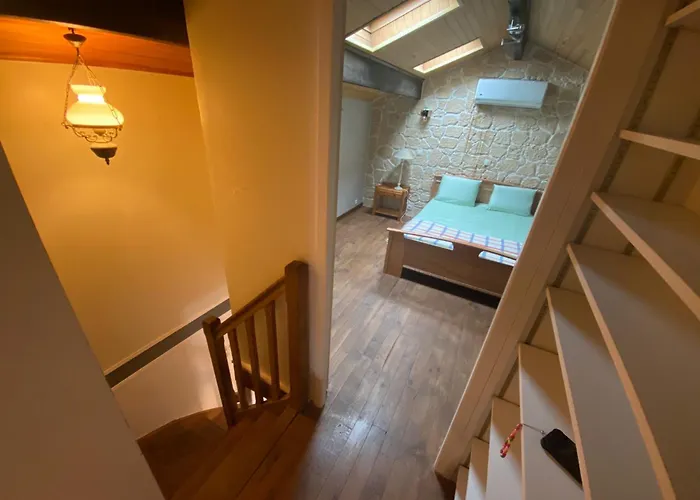 Le Du Temps Plie Mauleon