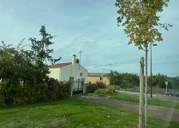 Le Du Temps Plie * Mauleon